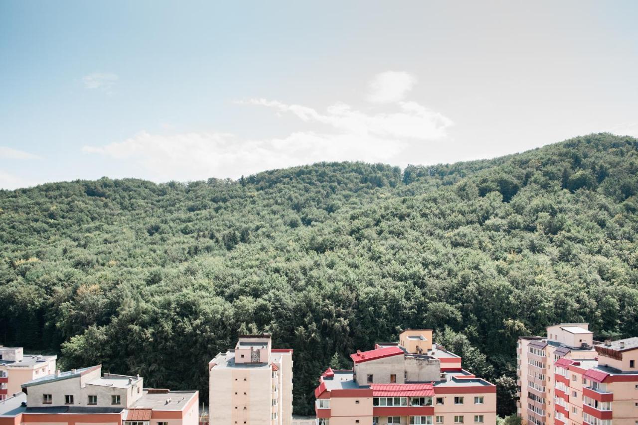 Nature Escape Apartment Braşov Exterior foto